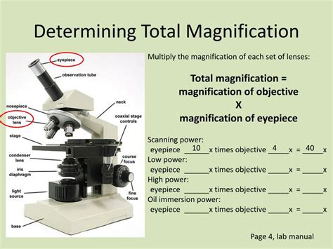 total magnification of a microscope|Iba pa.